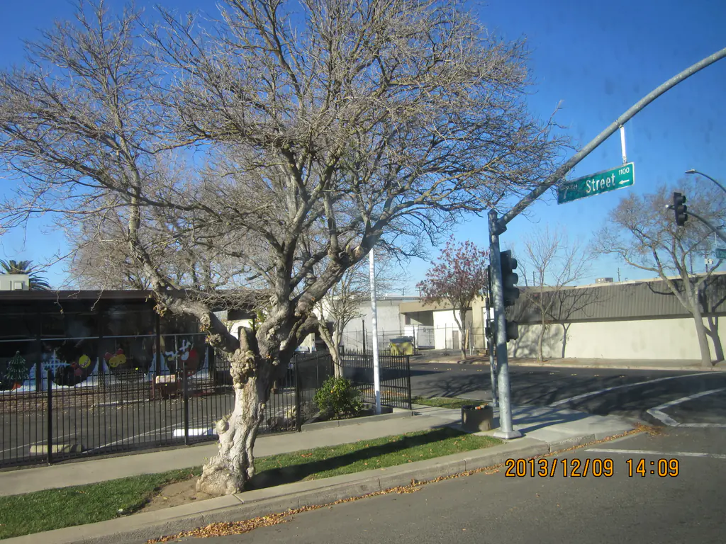 Downtown Modesto, Modesto, CA, USA - panoramio